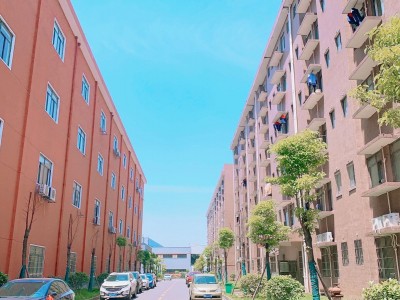 校园风光