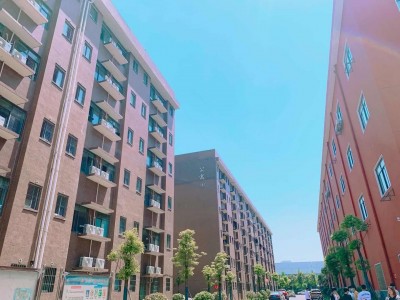 校园风光