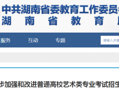 湖南省进一步加强和改进普通高校艺术类专业考试招生工作实施方案的通知