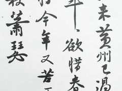 长沙鸿雅书法培训学校学员作品