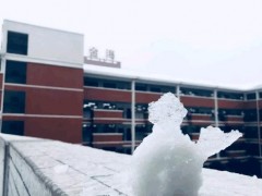 金海雪景