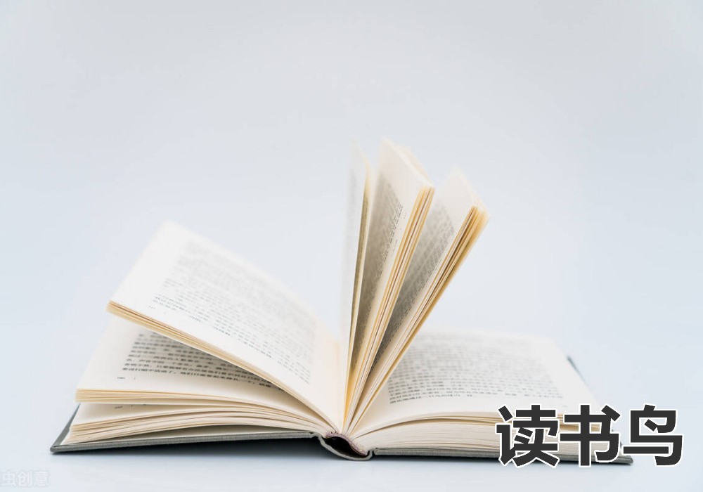 读书鸟：高中怎么提高英语成绩