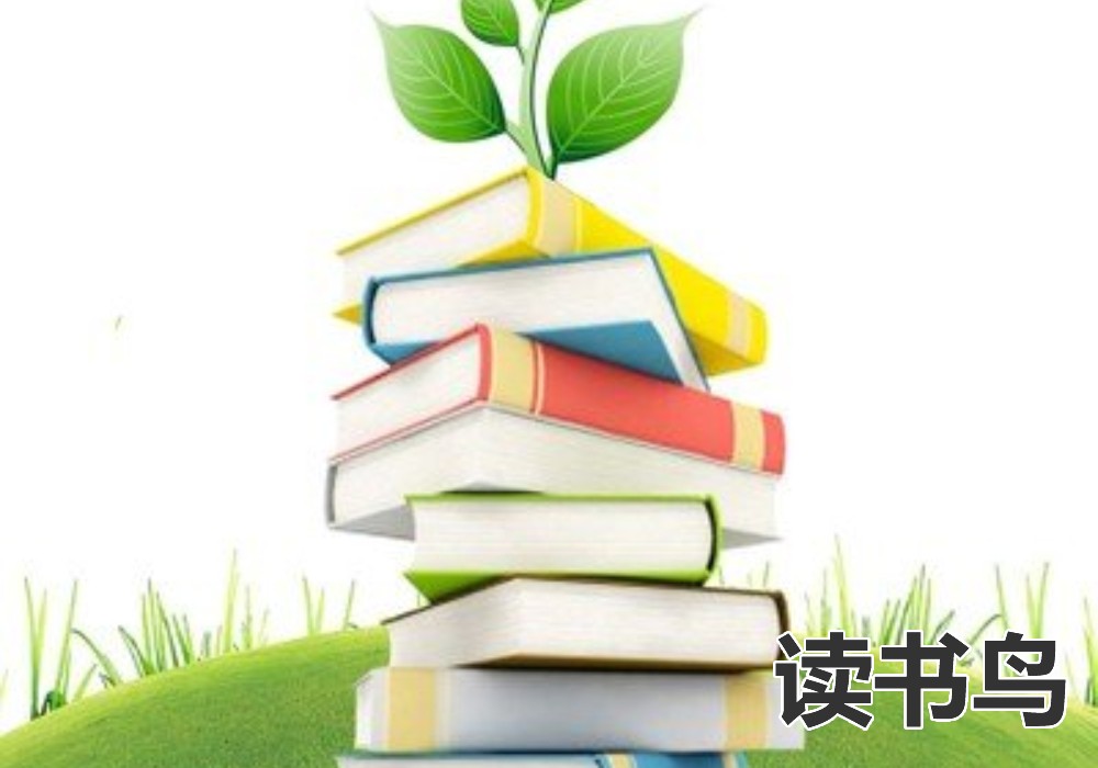  读书鸟：中考之后的暑假如何利用