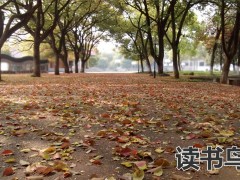 湖南省复读人数