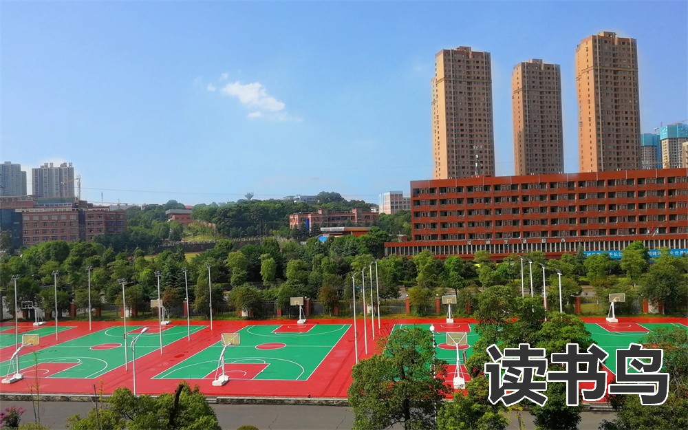 长沙艺考生文化课辅导机构（长沙艺考生文化课辅导班有哪些）