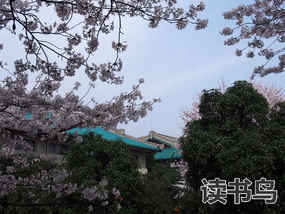 湖南益阳华师湖心高中复读简介和教学理念