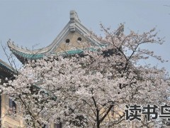高考的条件和要求是什么？（学生如何参加高考？）