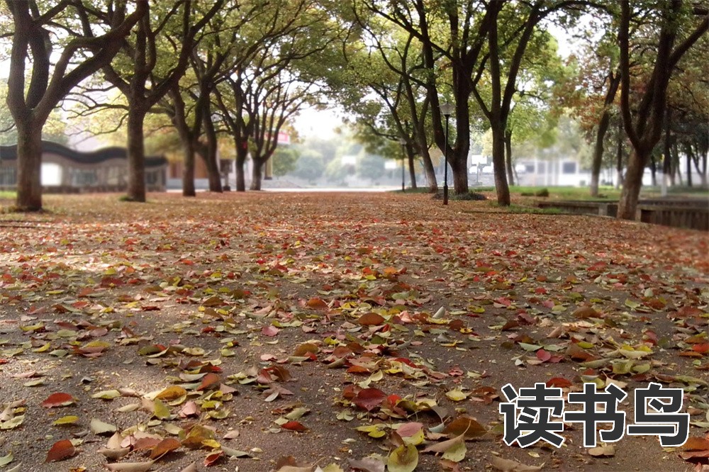 湘潭湘潭高考复读学校排名 （湘潭复读学校部分简介）