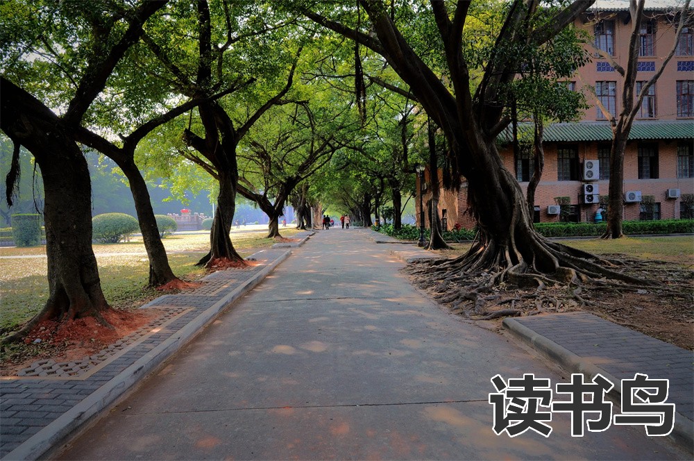 长沙市怡雅中学高中复读班 （怡雅中学地址）