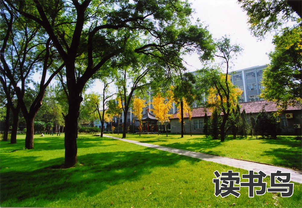 长沙博才学校在长沙的排名（长沙博才卓越小学）
