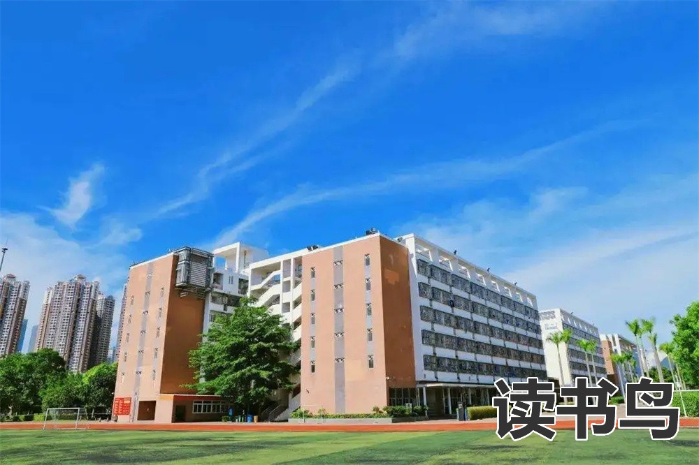 初中毕业了上不了高中可以读什么学校？