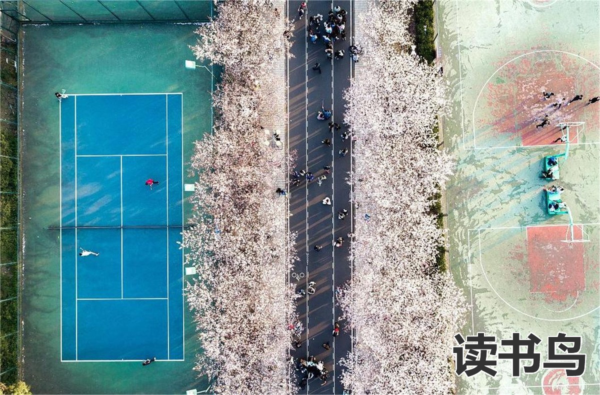 服务机器人装配与维护学什么？（学生就业岗位有哪些?）