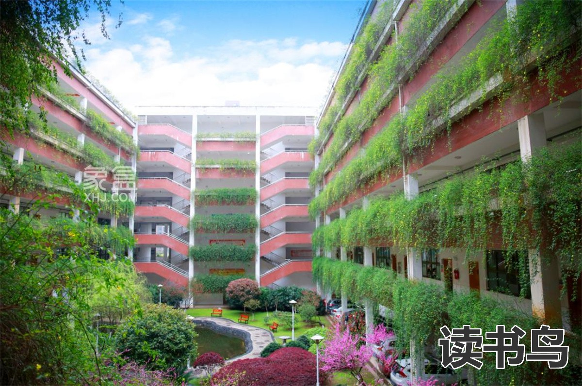 邵阳市计算机学校（邵阳市计算机学校发展前景）