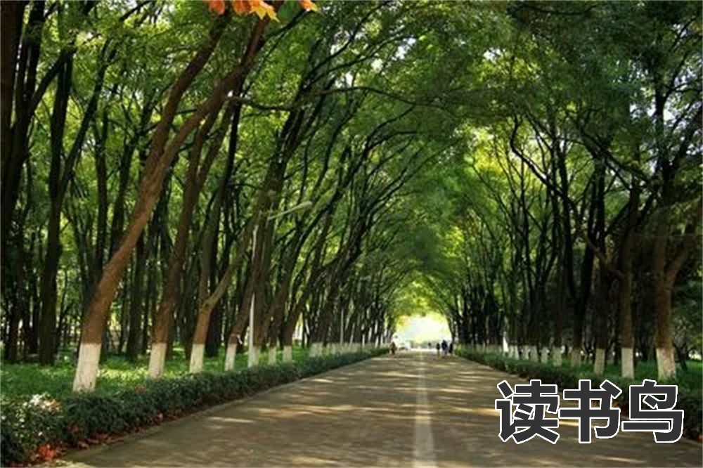 长沙公办中专学校有哪些比较好？（有哪些比较好）