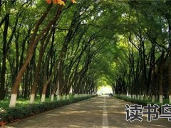 长沙公办中专学校有哪些比较好？（有哪些比较好）