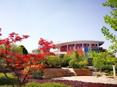 益阳学计算机专业选什么学校（益阳高级技工学院）