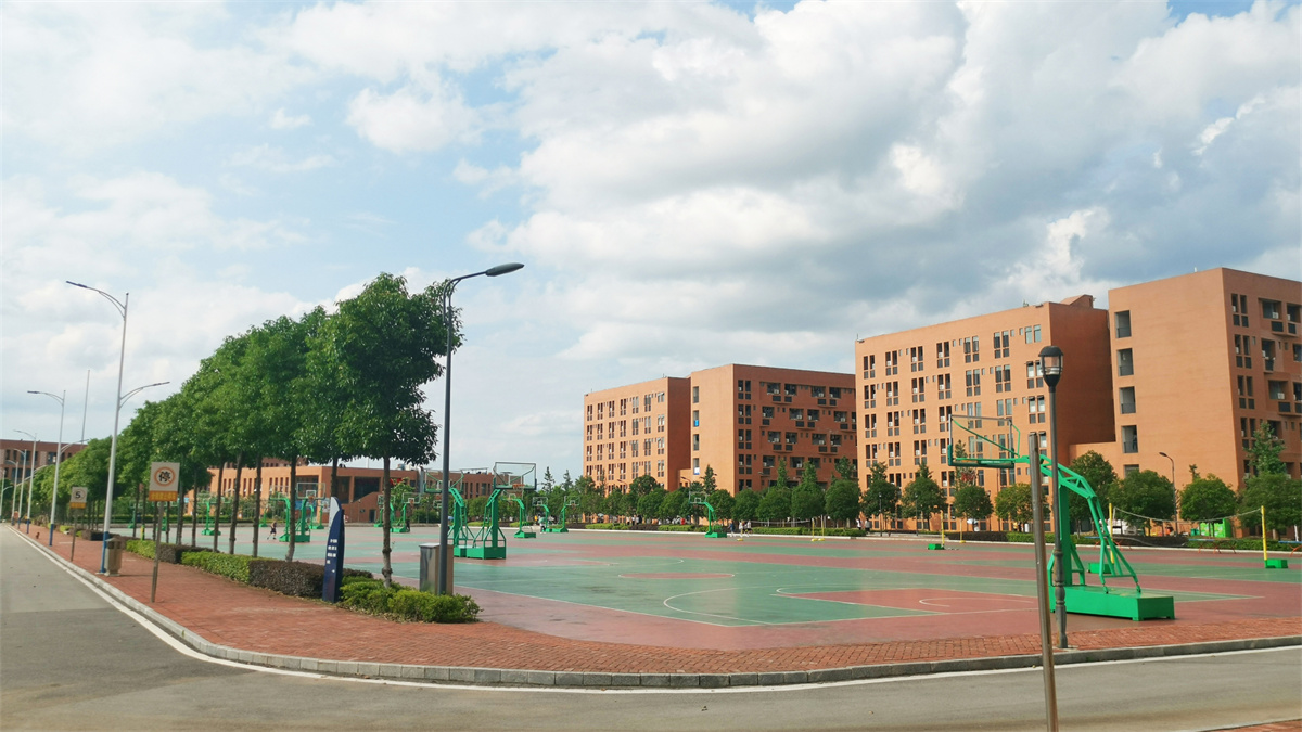 益阳读技校可以考大学吗（益阳高级技工学校）