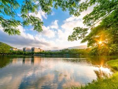 高中复读条件有哪些（复读必要条件）