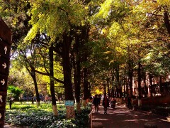 长沙麓谷复读学校怎么样？（长沙的复读学校哪所最好？）
