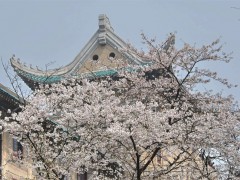 常德德山高中有复读学校吗（德山复读学校）