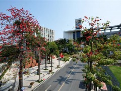 位于长沙市岳麓区望月湖的是哪所复读学校？  （学校简介）