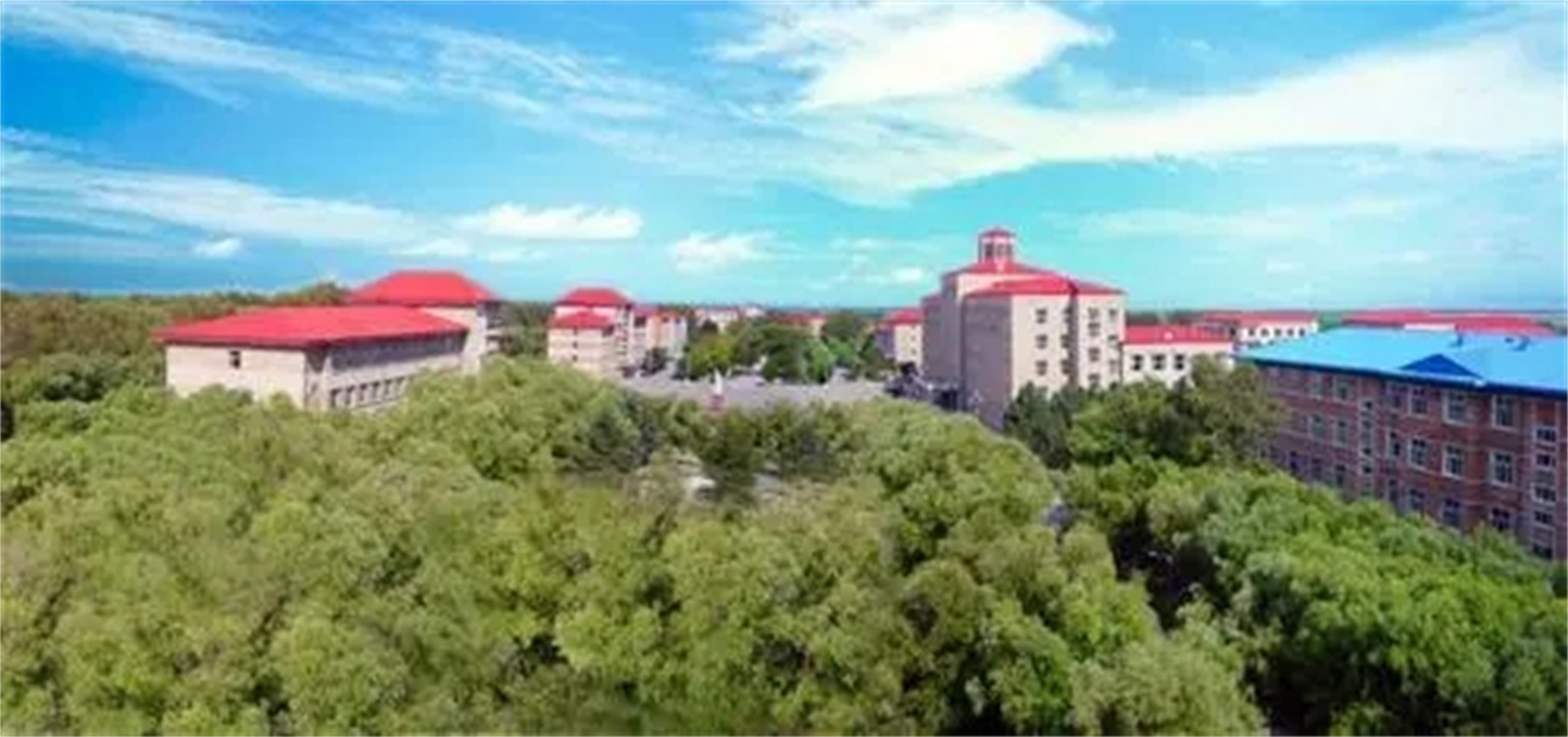 长沙市区复读学校排名名单（排名前五的学校）