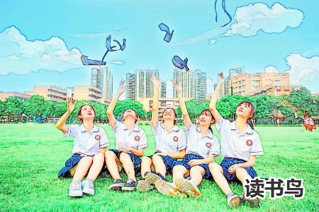图片2