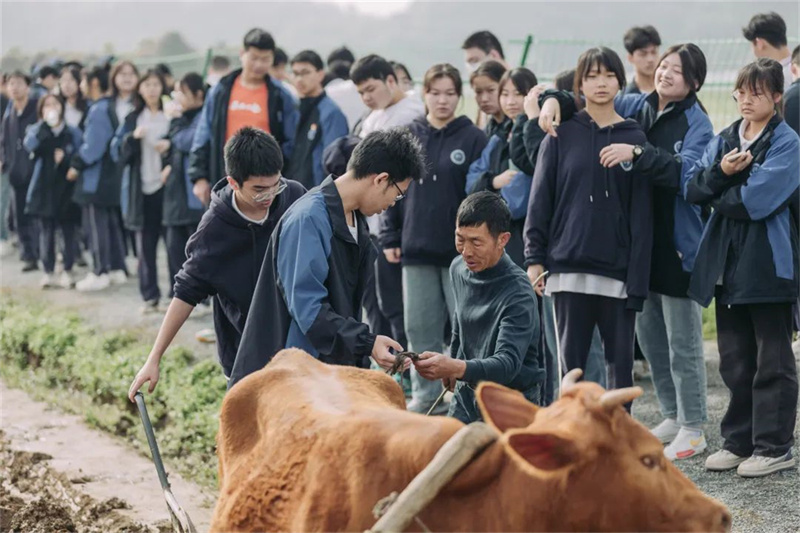 长沙市耀华高级中学复读班老师水平