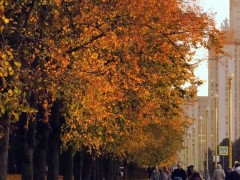 英国留学签证办理相关问题