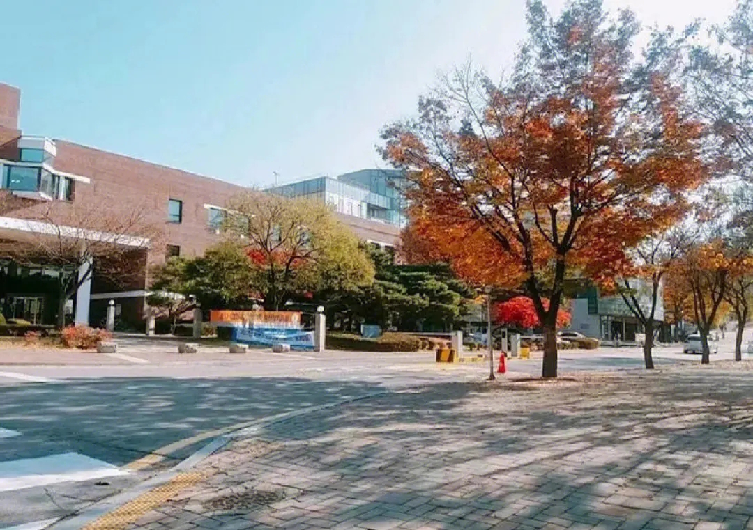 澳洲留学：传媒专业移民和就业方向怎么样？
