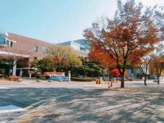 2024青岛马来西亚硕士留学培训费是多少