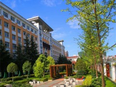 2024娄底新化县资江中学高考复读部的高考成绩 资江中学本科上线率揭秘