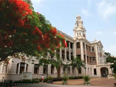 洞口县创新学校高考复读升学率创新高，助力学子圆梦名校