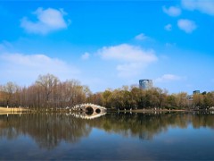 高三物理提分全攻略：从基础到精通的科学备考指南与技巧