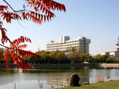 湖南高考生必看：学历认可全解析 - 5分钟读懂各类文凭含金量与就业前景
