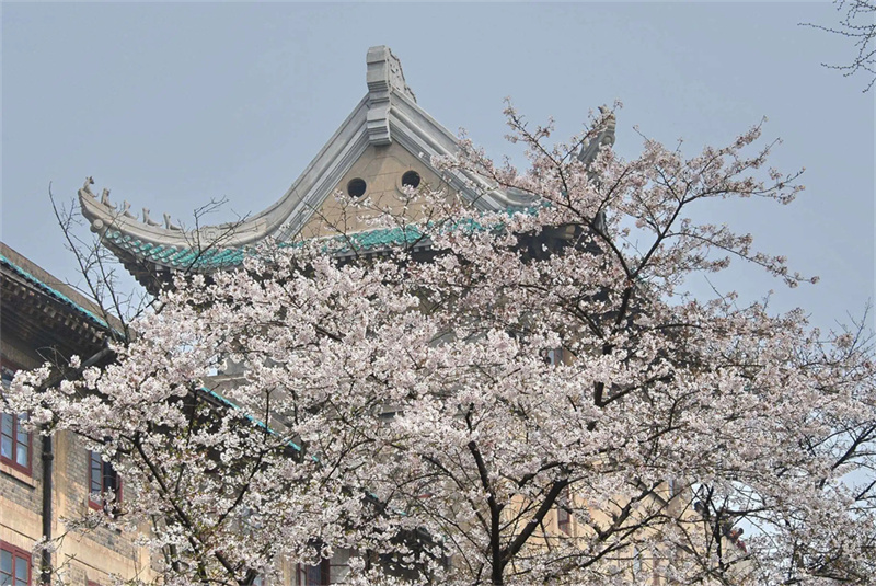 _益阳师大附中_益阳师范高中学校