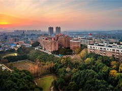 益阳师大思沁高级中学高考复读升学率分析与提升策略