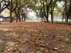 安化县五雅高级中学详细地址查询及交通指南