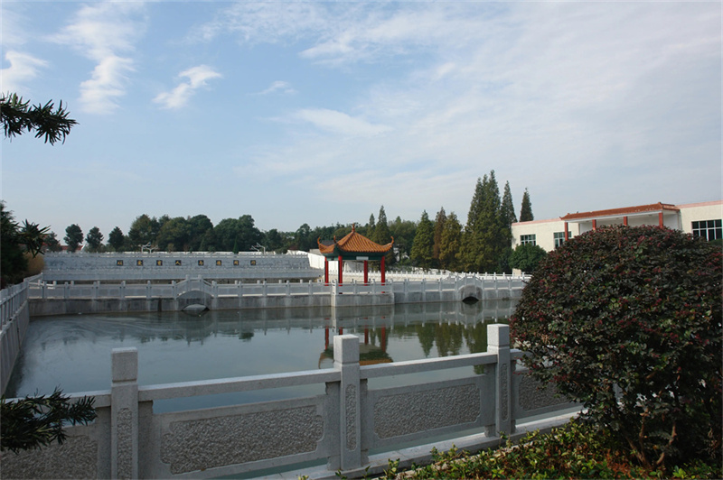 湖南常德西洞庭一中_常德市西洞庭一中住宿条件_