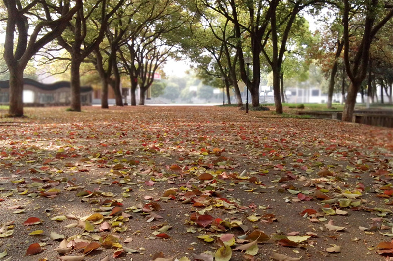曾国藩复读学校地点_曾国藩学校复读班_