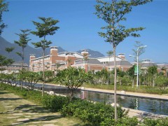 涟源市涟水学校详细地址及便捷交通指南大揭秘
