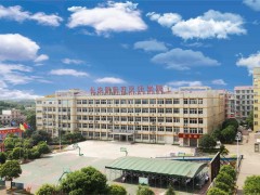 衡山县德华盛星源高级中学高考复读升学率深度剖析
