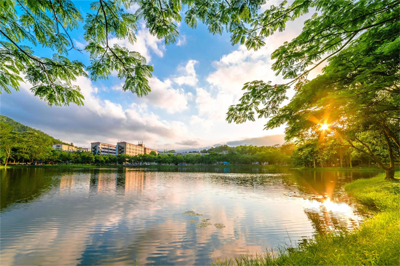 湖南岳阳弘毅新华中学_岳阳弘毅新华中学2020招生_