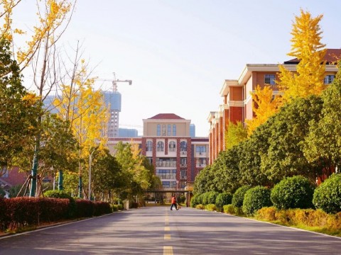 长沙中嘉高级中学学习环境