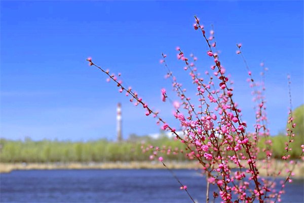 考研出国什么时候开始考试，考研出国有什么条件,